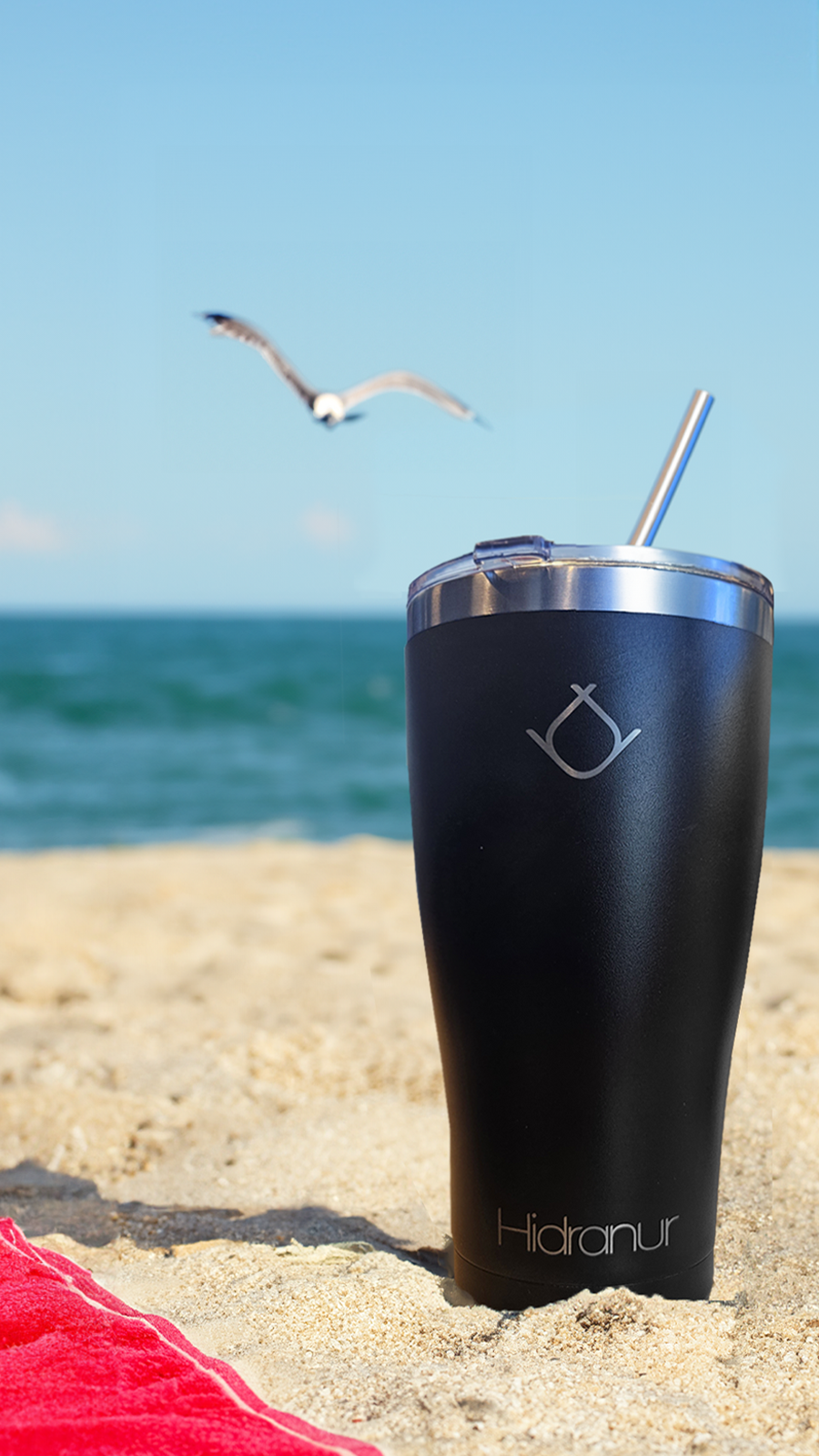 <img src="puppy.jpg" alt="Termo Hidranur Negro en una playa"/>